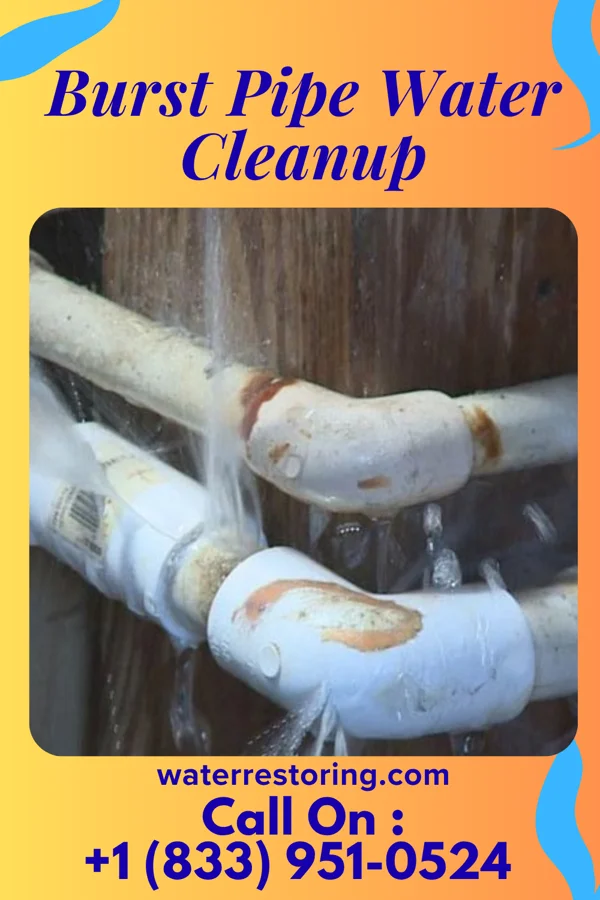 Burst Pipe Water Cleanup in Princeton, MN